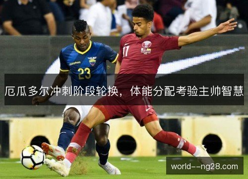 厄瓜多尔冲刺阶段轮换,体能分配考验主帅智慧 厄瓜多尔冲刺阶段轮换,体能分配考验主帅智慧